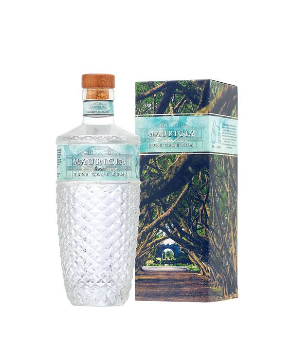 Mauricia l&apos;Intendance 60